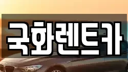 경기 양주시 덕정동 렌트카,단기렌트카,장기렌트카,중고차,중고차매매,중고차매입