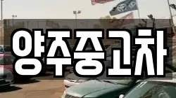 양주중고차