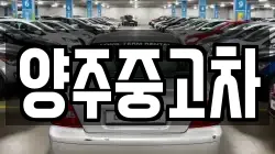 양주중고차