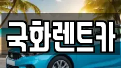 국화렌트카