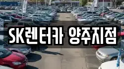 경기 양주시 율정동 렌트카,단기렌트카,장기렌트카,중고차,중고차매매,중고차매입