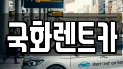 국화렌트카