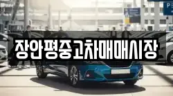 장안평중고차매매시장