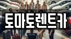 토마토렌트카