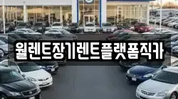 경기 여주시 점동면 렌트카,단기렌트카,장기렌트카,중고차,중고차매매,중고차매입