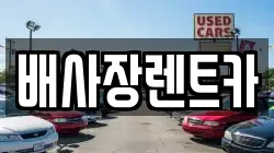배사장렌트카