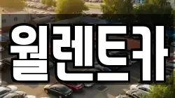 월렌트카