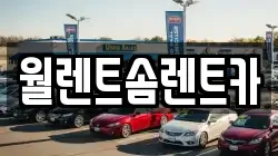 월렌트솜렌트카