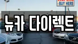 뉴카 다이렉트