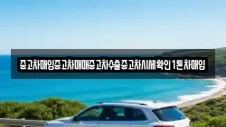 중고차매입중고차매매중고차수출중고차시세확인1톤차매입