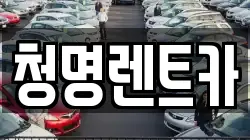 청명렌트카