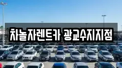 차놀자렌트카 광교수지지점