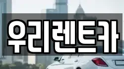 경기 용인시 기흥구 보라동 렌트카,단기렌트카,장기렌트카,중고차,중고차매매,중고차매입