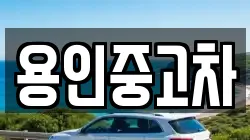 용인중고차