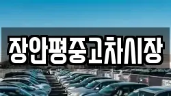 장안평중고차시장