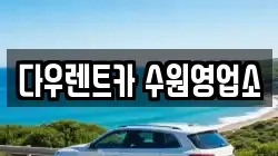 경기 용인시 기흥구 서천동 렌트카,단기렌트카,장기렌트카,중고차,중고차매매,중고차매입