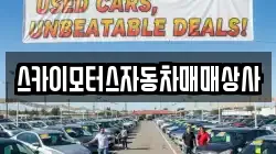 스카이모터스자동차매매상사