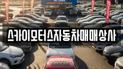 스카이모터스자동차매매상사