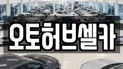 오토허브셀카