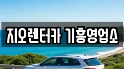 지오렌터카 기흥영업소