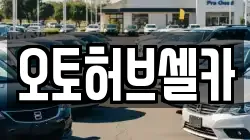 오토허브셀카
