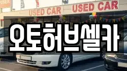 오토허브셀카