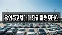 용인중고차매매단지차영모터스