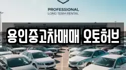 용인중고차매매 오토허브