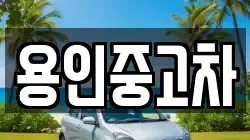 용인중고차