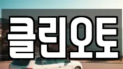 클린오토