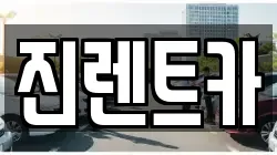 경기 용인시 수지구 성복동 렌트카,단기렌트카,장기렌트카,중고차,중고차매매,중고차매입