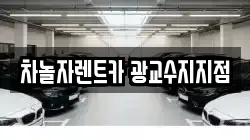 차놀자렌트카 광교수지지점