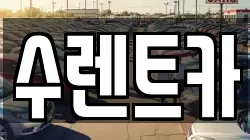 수렌트카