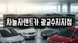차놀자렌트카 광교수지지점