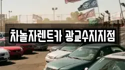 경기 용인시 수지구 풍덕천동 렌트카,단기렌트카,장기렌트카,중고차,중고차매매,중고차매입