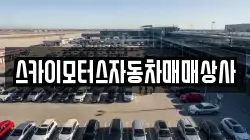 스카이모터스자동차매매상사