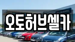 오토허브셀카