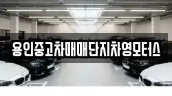 용인중고차매매단지차영모터스