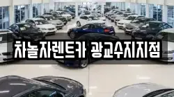 차놀자렌트카 광교수지지점