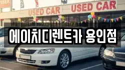 경기 용인시 처인구 김량장동 렌트카,단기렌트카,장기렌트카,중고차,중고차매매,중고차매입