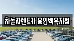차놀자렌트카 용인백옥지점