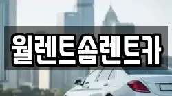 월렌트솜렌트카