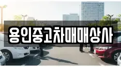 용인중고차매매상사