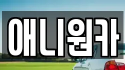 애니원카