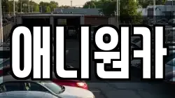 애니원카
