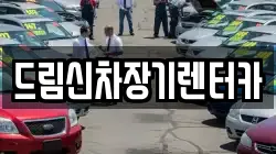 드림신차장기렌터카