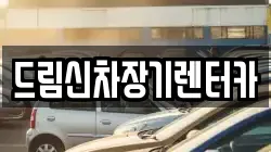 드림신차장기렌터카