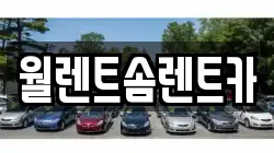 월렌트솜렌트카