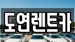 경기 의정부시 낙양동 렌트카,단기렌트카,장기렌트카,중고차,중고차매매,중고차매입
