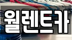 월렌트카